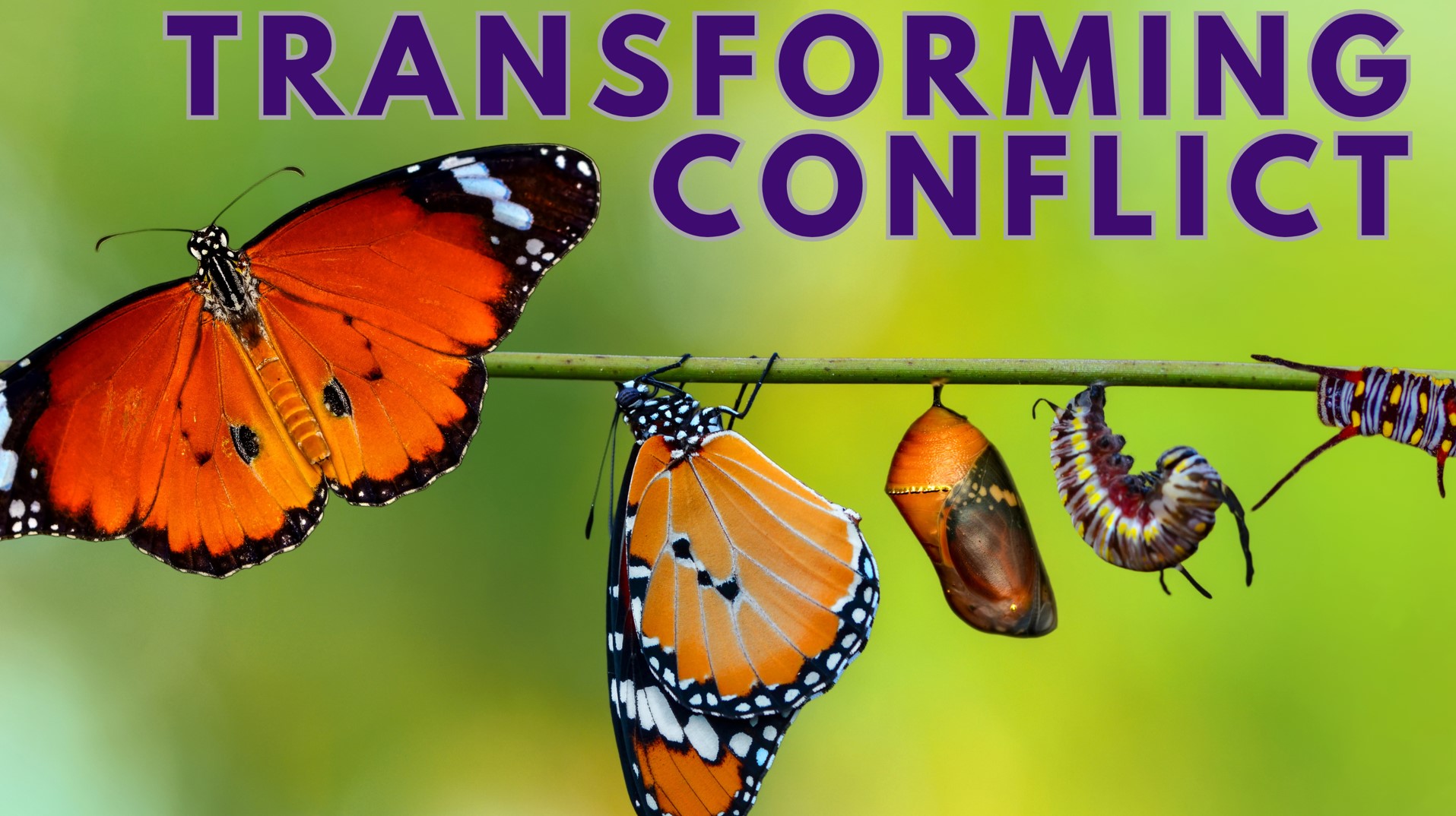 Transforming Conflict