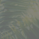 Palm Sunday background graphic