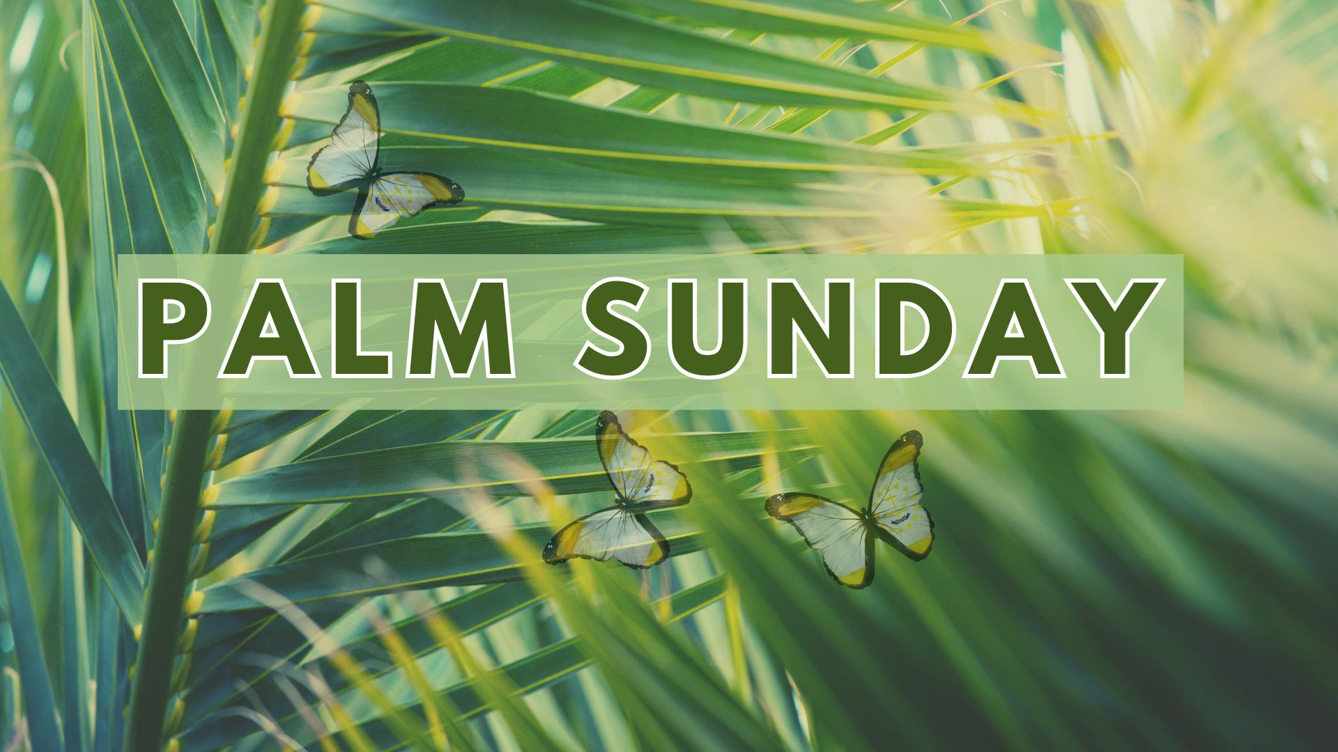Palm Sunday